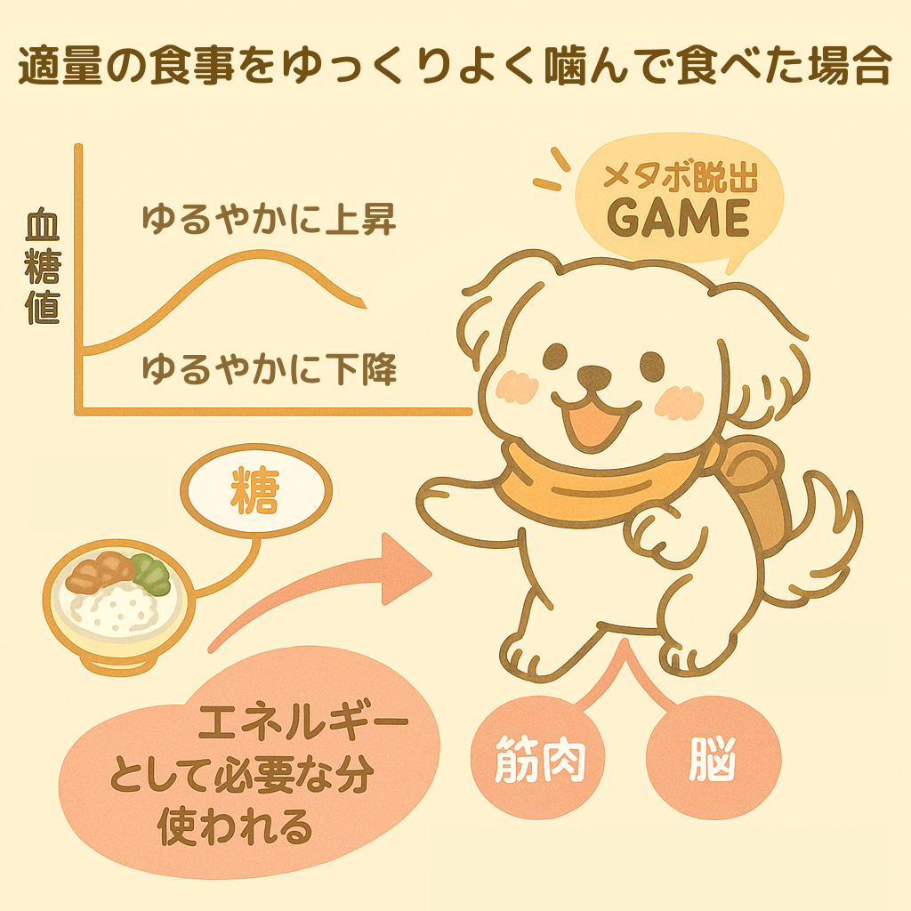 適量の食事をゆっくりよく噛んで食べた場合の食後血糖値の変化